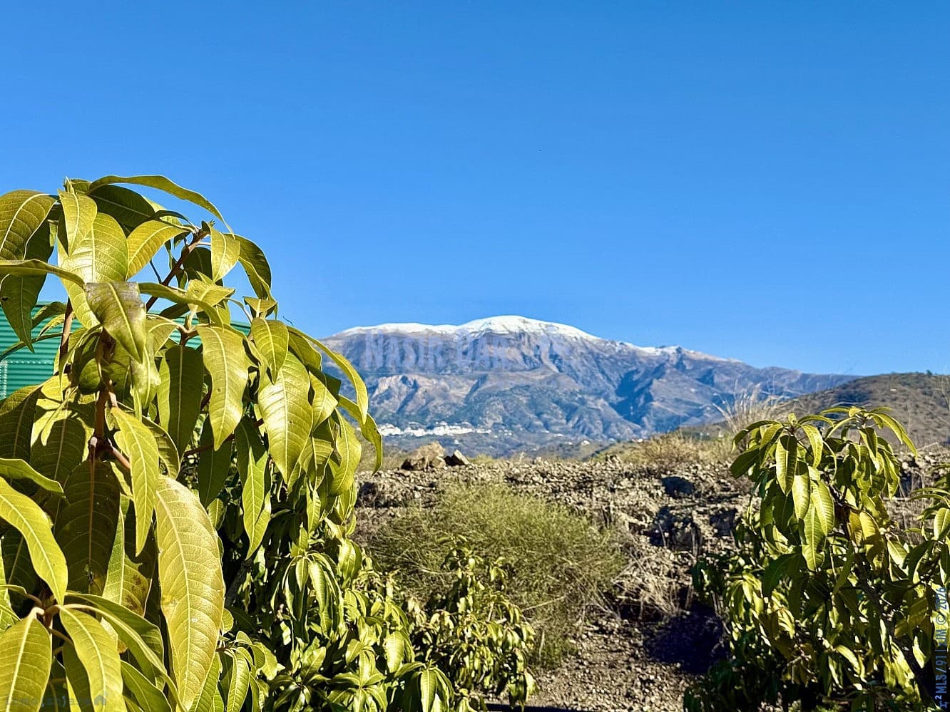 4 camera da letto Finca/Casa di Campagna in vendita in Velez-Malaga - 650.000 € (Rif: 9751003)