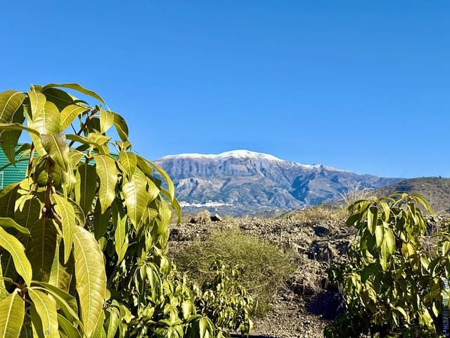 4 soverom Finca/Herregård til salgs i Vélez-Málaga - € 650 000 (Ref: 9751003)