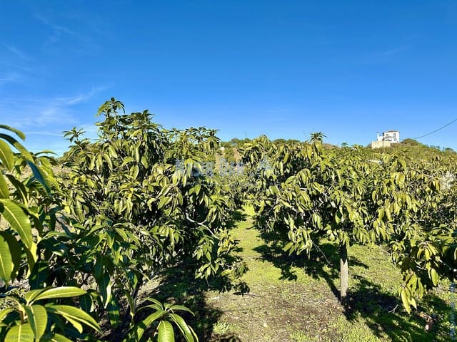 4 soverom Finca/Herregård til salgs i Vélez-Málaga - € 650 000 (Ref: 9751003)