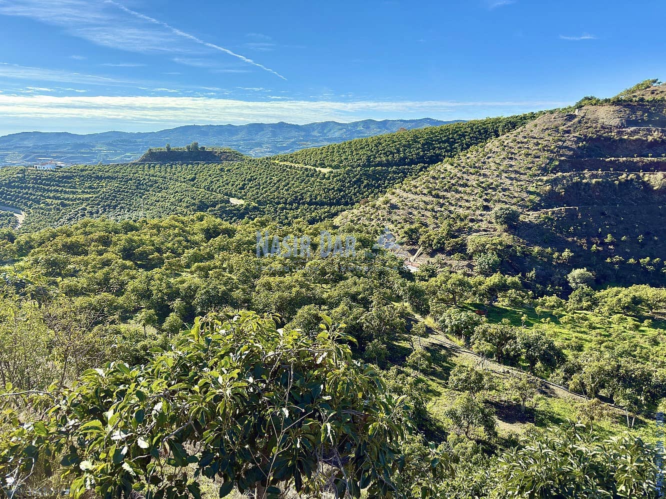 4 camera da letto Finca/Casa di Campagna in vendita in Velez-Malaga - 650.000 € (Rif: 9751003)