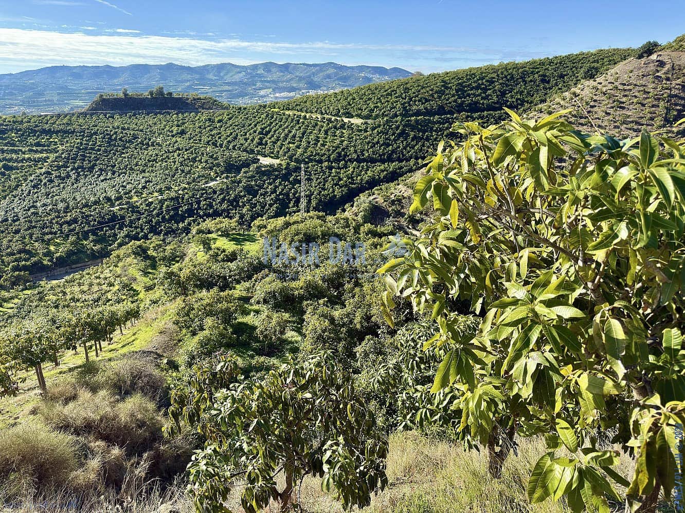 4 camera da letto Finca/Casa di Campagna in vendita in Velez-Malaga - 650.000 € (Rif: 9751003)