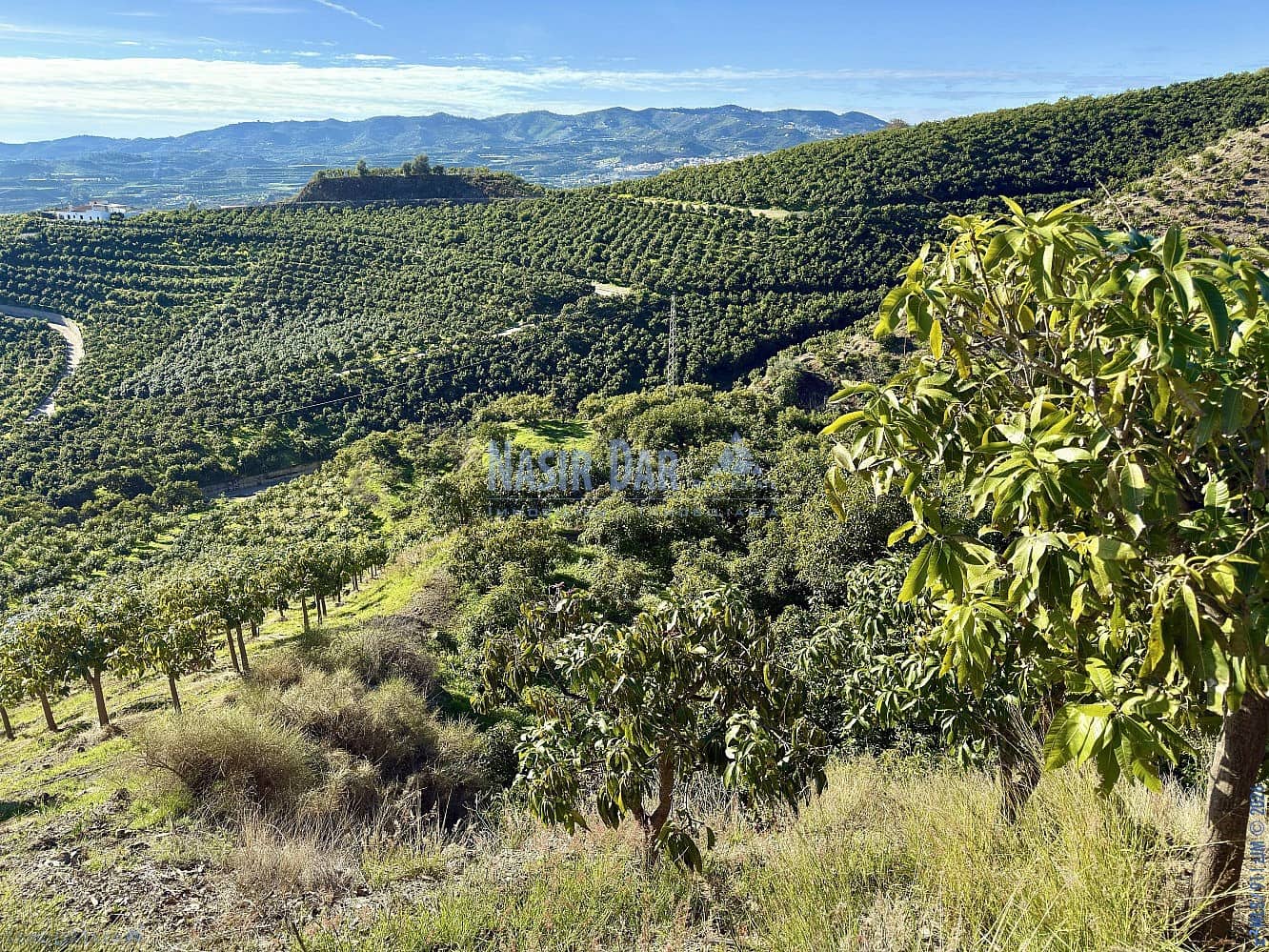 4 camera da letto Finca/Casa di Campagna in vendita in Velez-Malaga - 650.000 € (Rif: 9751003)