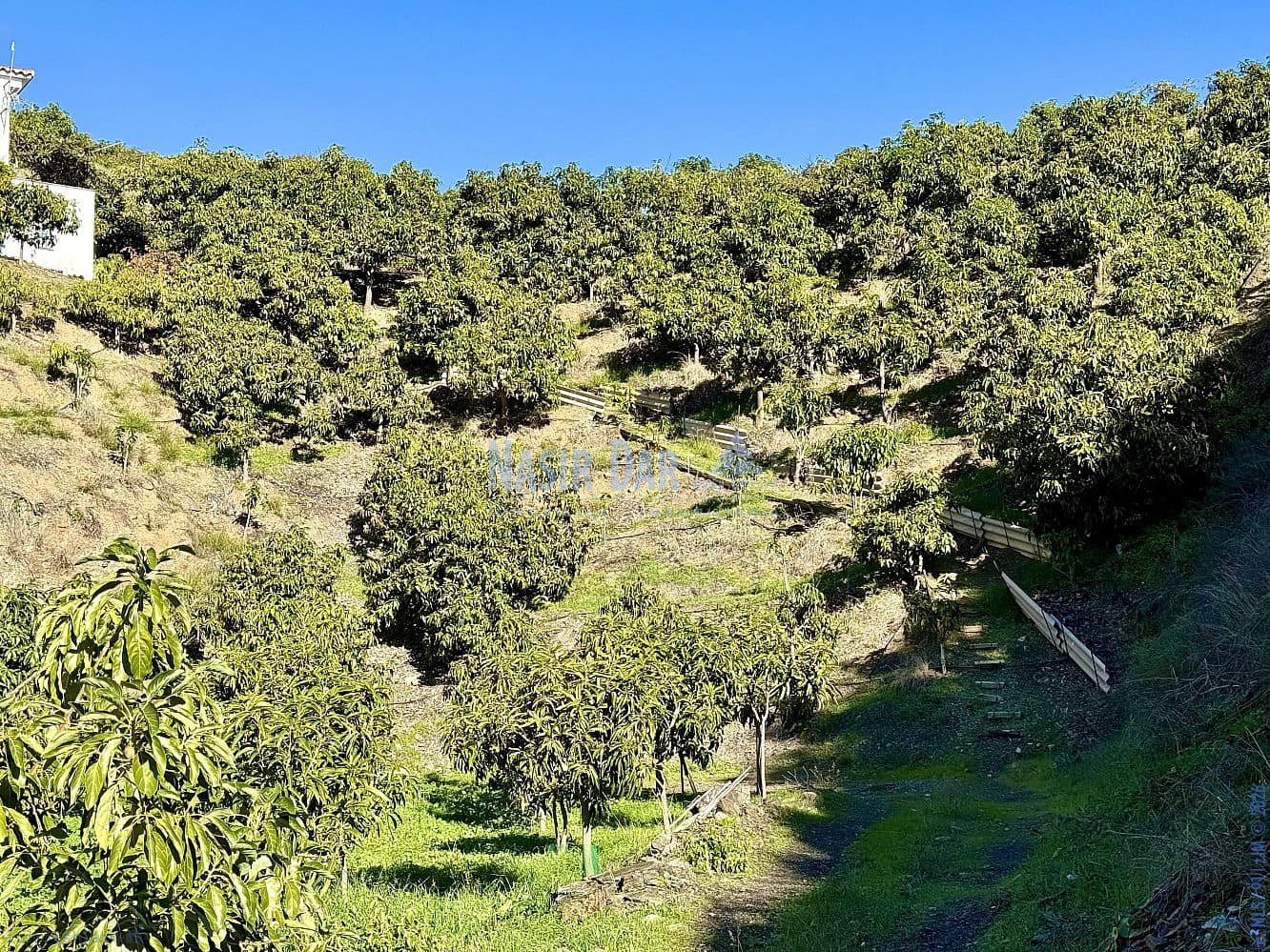 4 camera da letto Finca/Casa di Campagna in vendita in Velez-Malaga - 650.000 € (Rif: 9751003)