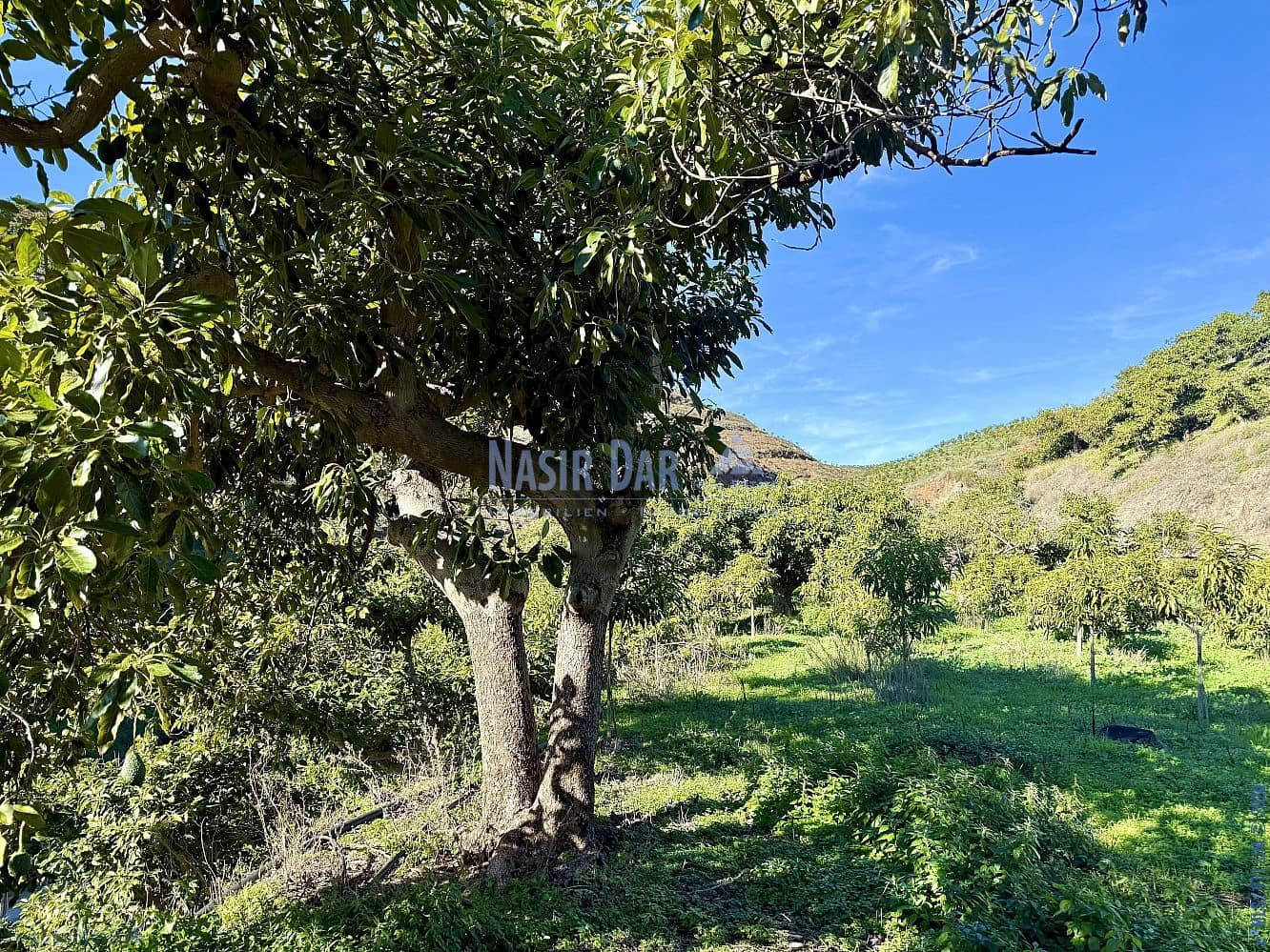 4 camera da letto Finca/Casa di Campagna in vendita in Velez-Malaga - 650.000 € (Rif: 9751003)