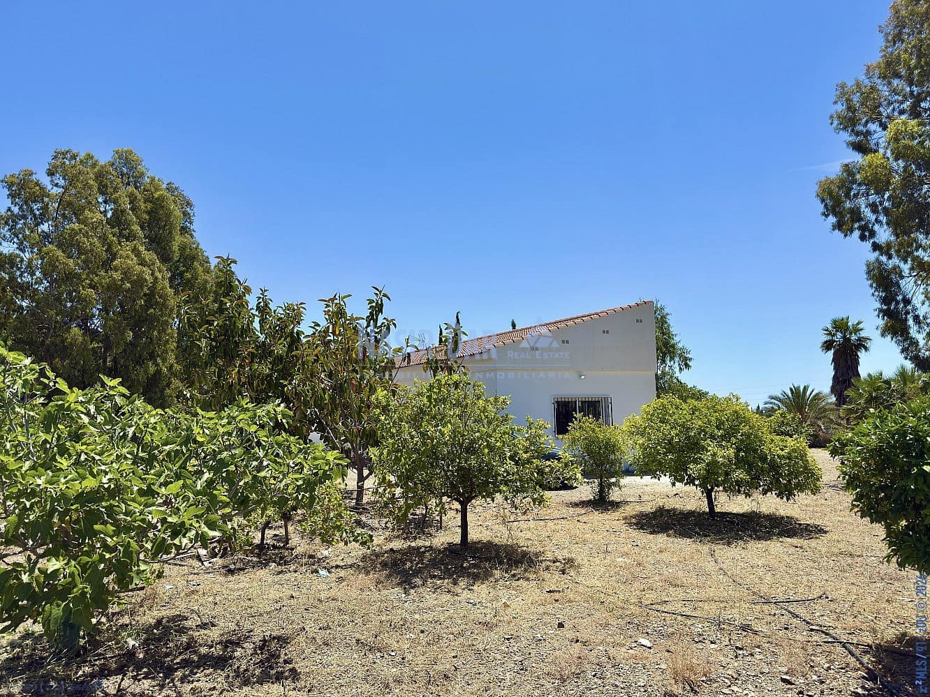 5 camera da letto Finca/Casa di Campagna in vendita in Cajiz con garage - 699.000 € (Rif: 9751009)