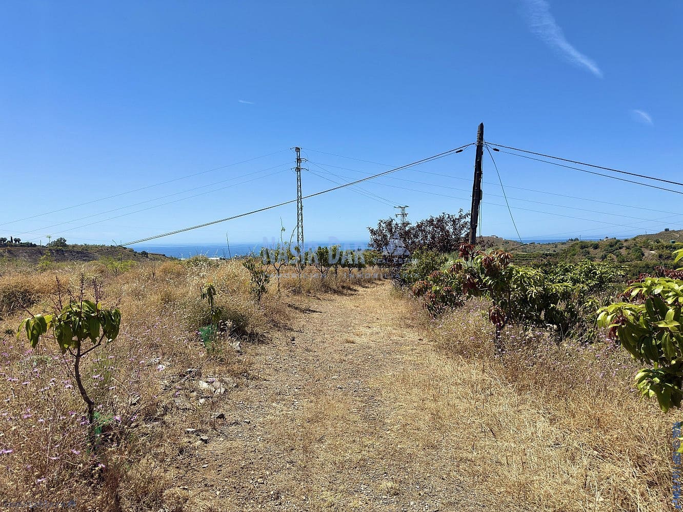 5 camera da letto Finca/Casa di Campagna in vendita in Cajiz con garage - 699.000 € (Rif: 9751009)