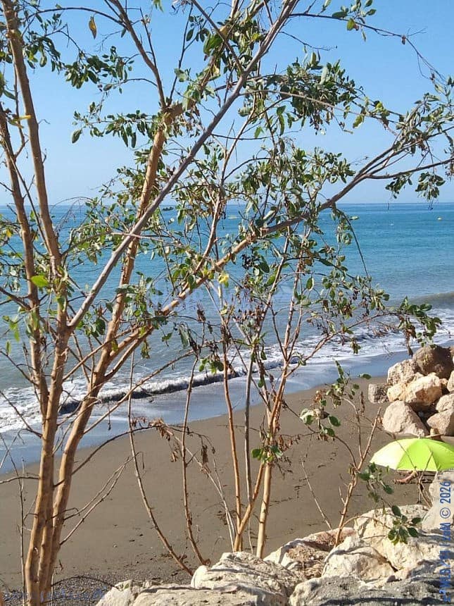 3 soverom Hus til salgs i Chilches med svømmebasseng - € 699 900 (Ref: 9751020)