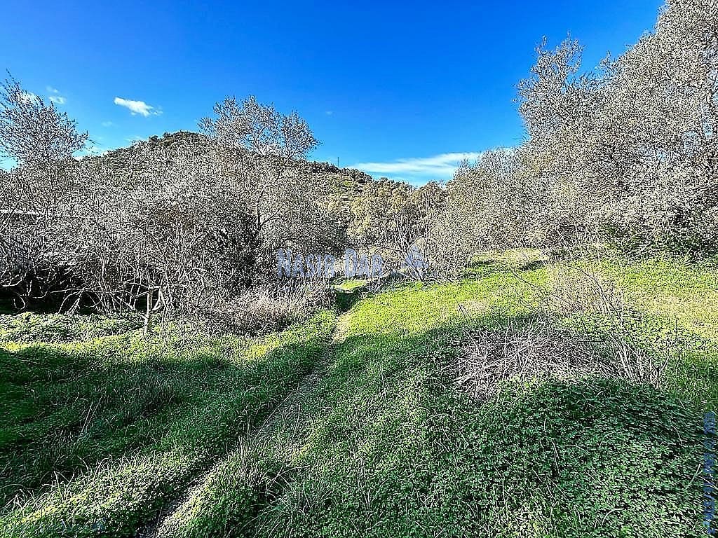 5 bedroom Townhouse for sale in Comares - € 134,900 (Ref: 9751037)