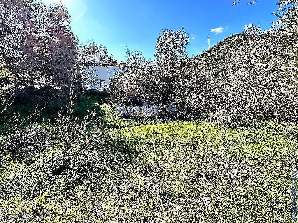 5 bedroom Townhouse for sale in Comares - € 134,900 (Ref: 9751037)