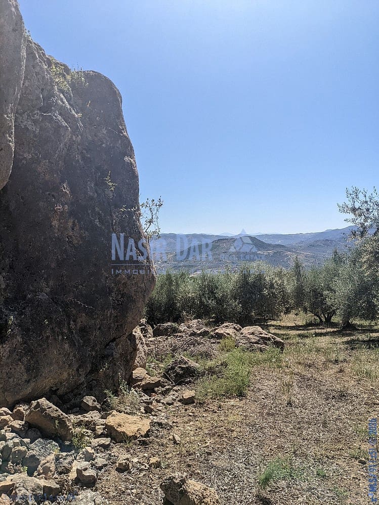 Grunde uden byggetilladelser til salg i Periana - € 172.000 (Ref: 9751079)