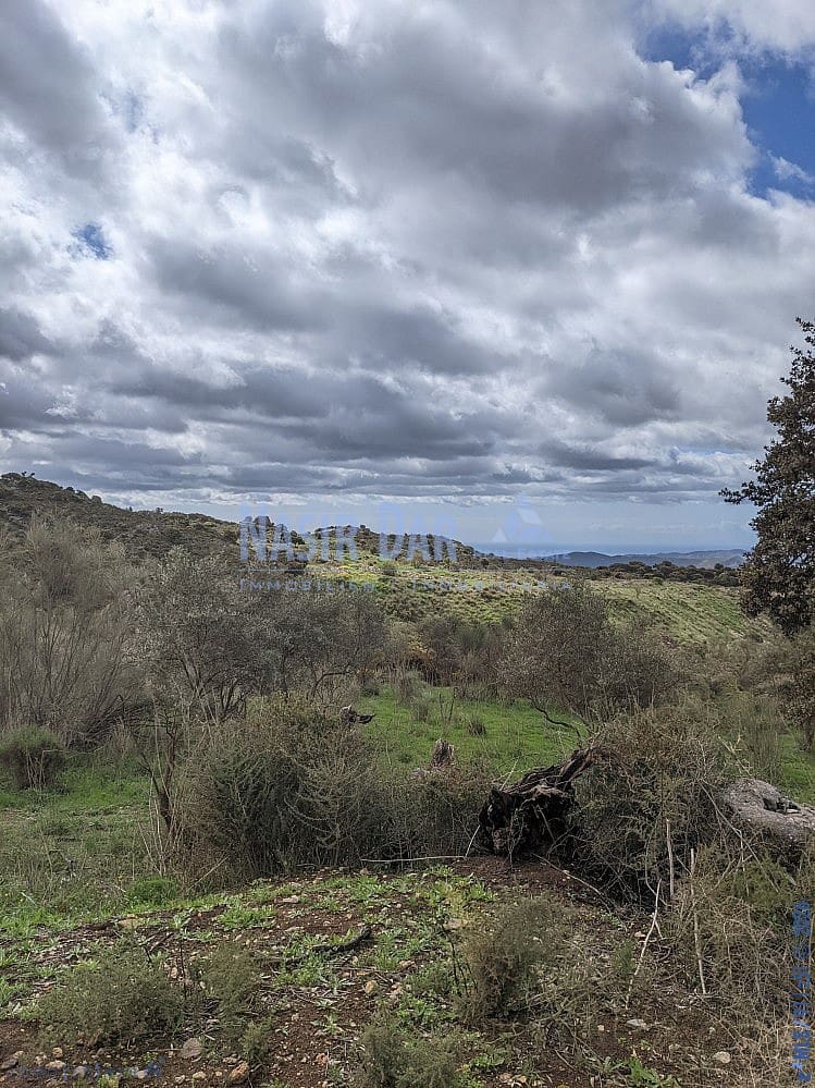 Grunde uden byggetilladelser til salg i Periana - € 172.000 (Ref: 9751079)