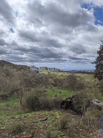 Grunde uden byggetilladelser til salg i Periana - € 172.000 (Ref: 9751079)