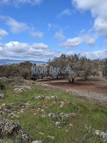 Grunde uden byggetilladelser til salg i Periana - € 172.000 (Ref: 9751079)