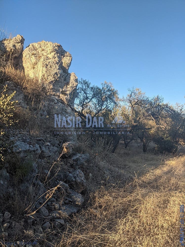 Grunde uden byggetilladelser til salg i Periana - € 172.000 (Ref: 9751079)