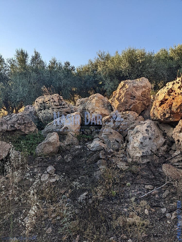 Grunde uden byggetilladelser til salg i Periana - € 172.000 (Ref: 9751079)