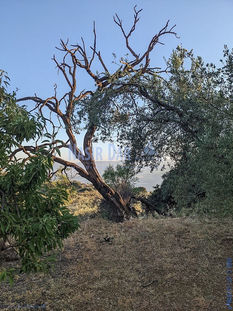 Grunde uden byggetilladelser til salg i Periana - € 172.000 (Ref: 9751079)