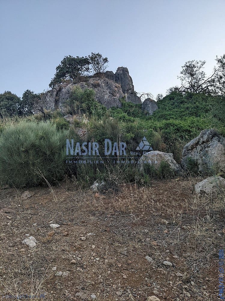 Grunde uden byggetilladelser til salg i Periana - € 172.000 (Ref: 9751079)