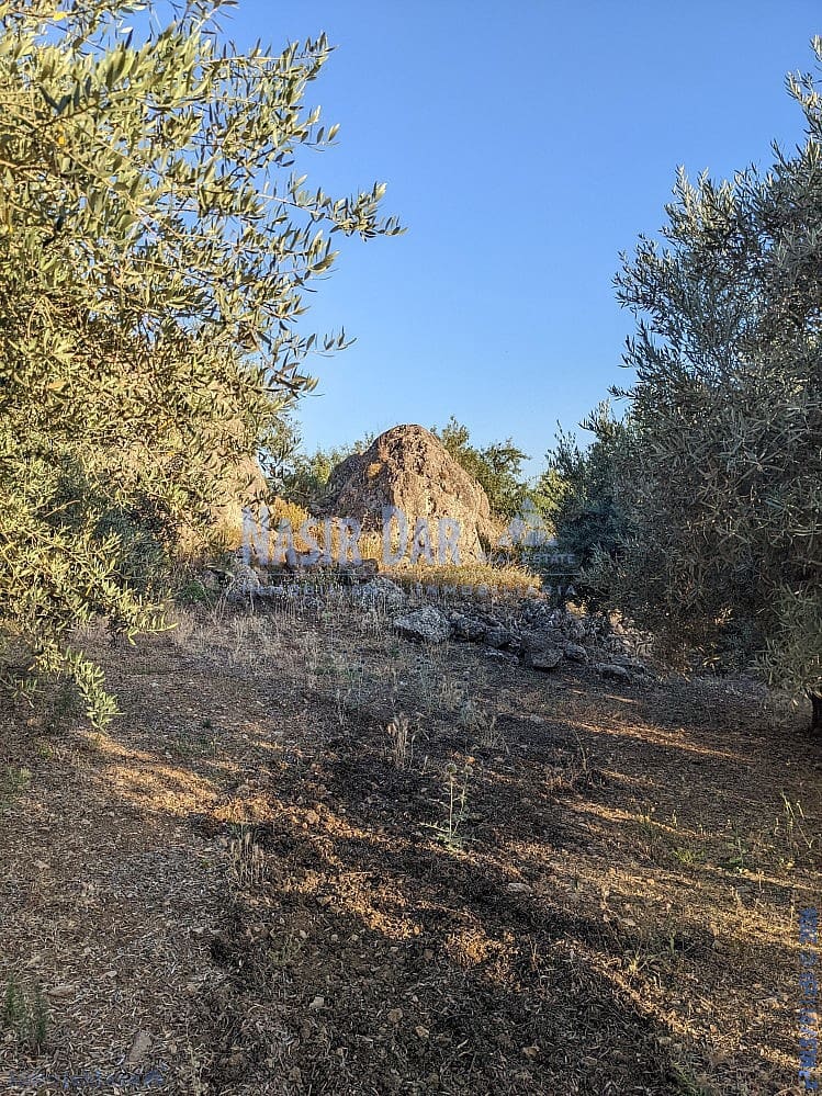 Grunde uden byggetilladelser til salg i Periana - € 172.000 (Ref: 9751079)