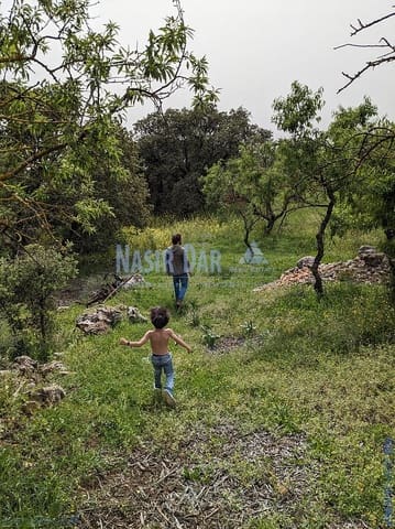 Grunde uden byggetilladelser til salg i Periana - € 172.000 (Ref: 9751079)