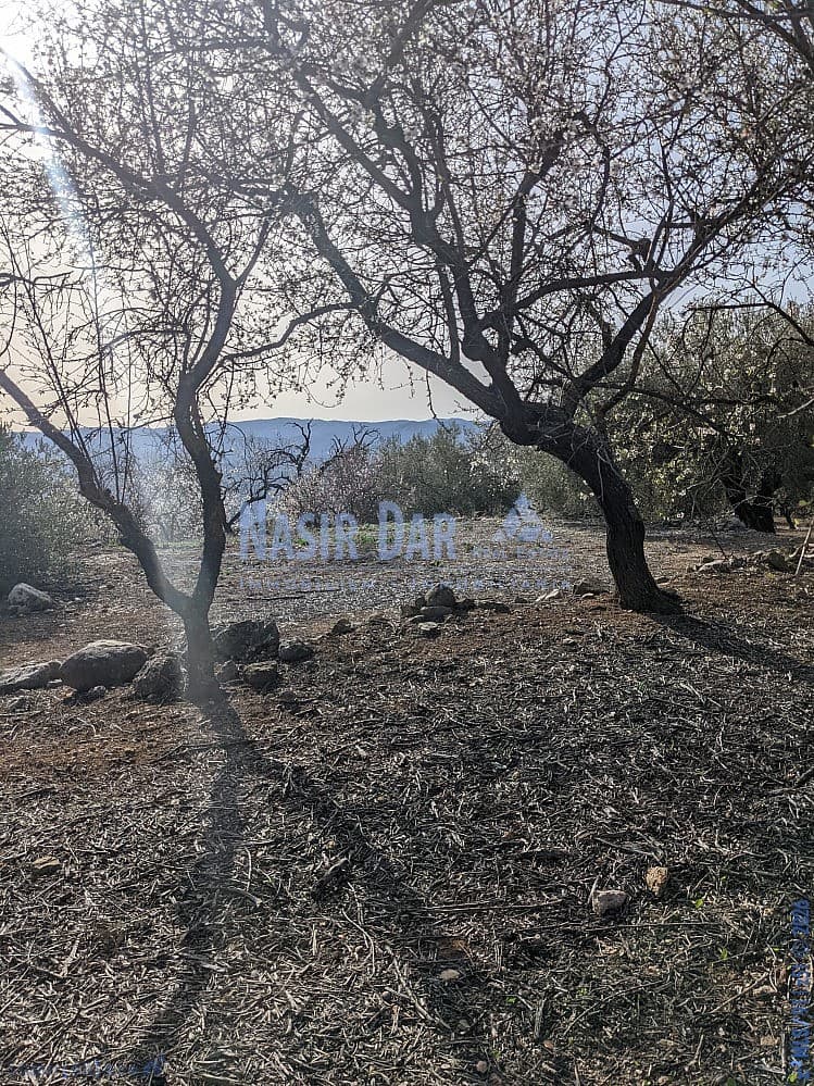 Grunde uden byggetilladelser til salg i Periana - € 172.000 (Ref: 9751079)