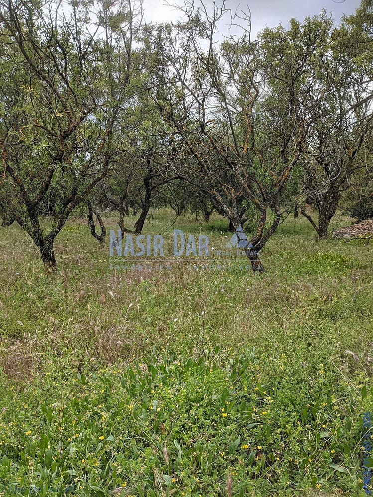 Grunde uden byggetilladelser til salg i Periana - € 172.000 (Ref: 9751079)