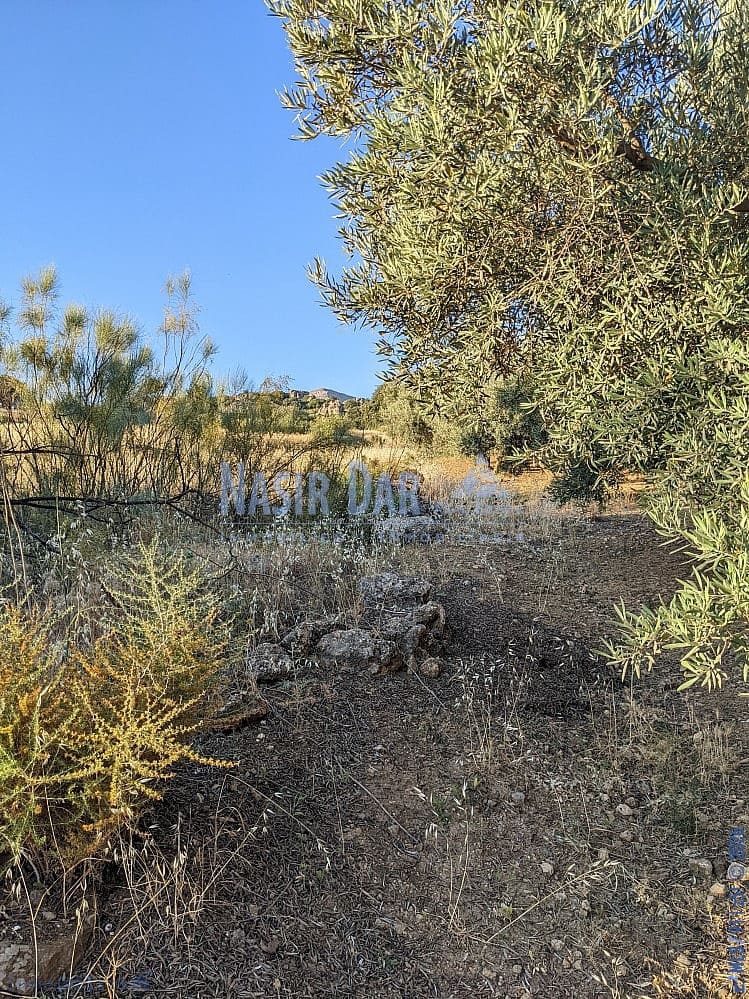 Grunde uden byggetilladelser til salg i Periana - € 172.000 (Ref: 9751079)