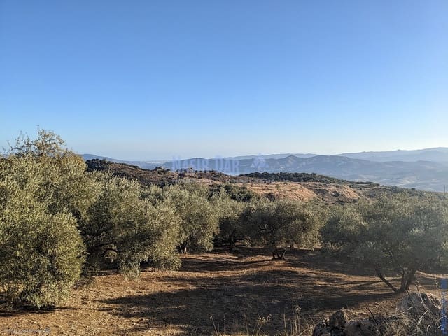 Grunde uden byggetilladelser til salg i Periana - € 172.000 (Ref: 9751079)