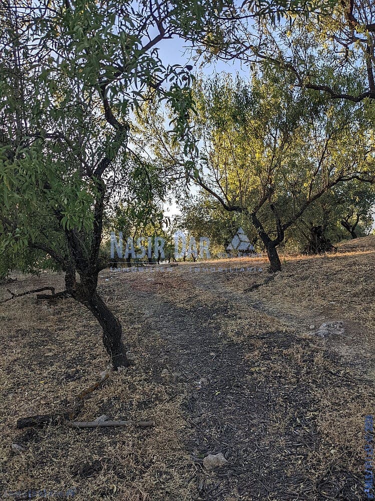 Grunde uden byggetilladelser til salg i Periana - € 172.000 (Ref: 9751079)