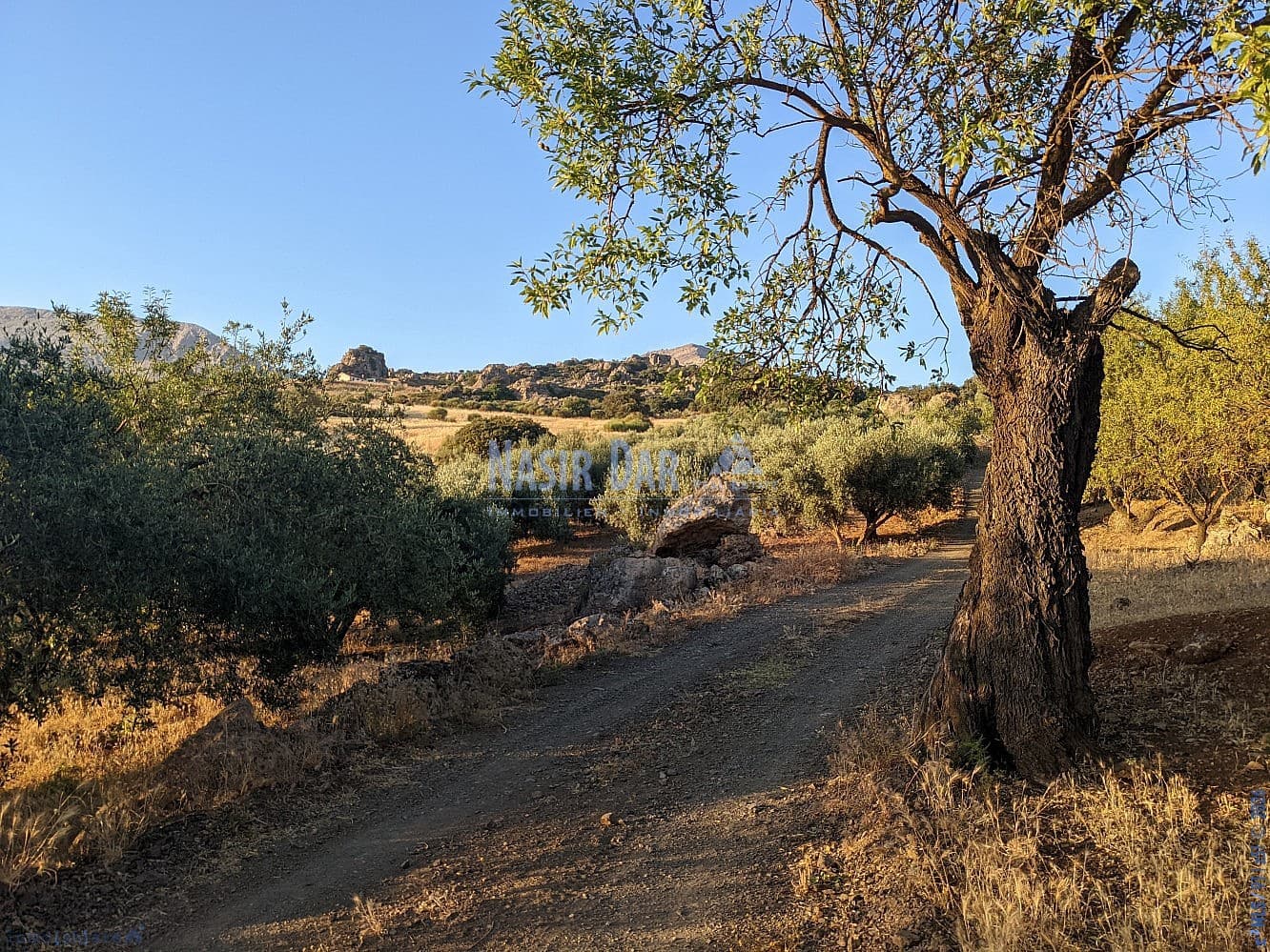 Grunde uden byggetilladelser til salg i Periana - € 172.000 (Ref: 9751079)