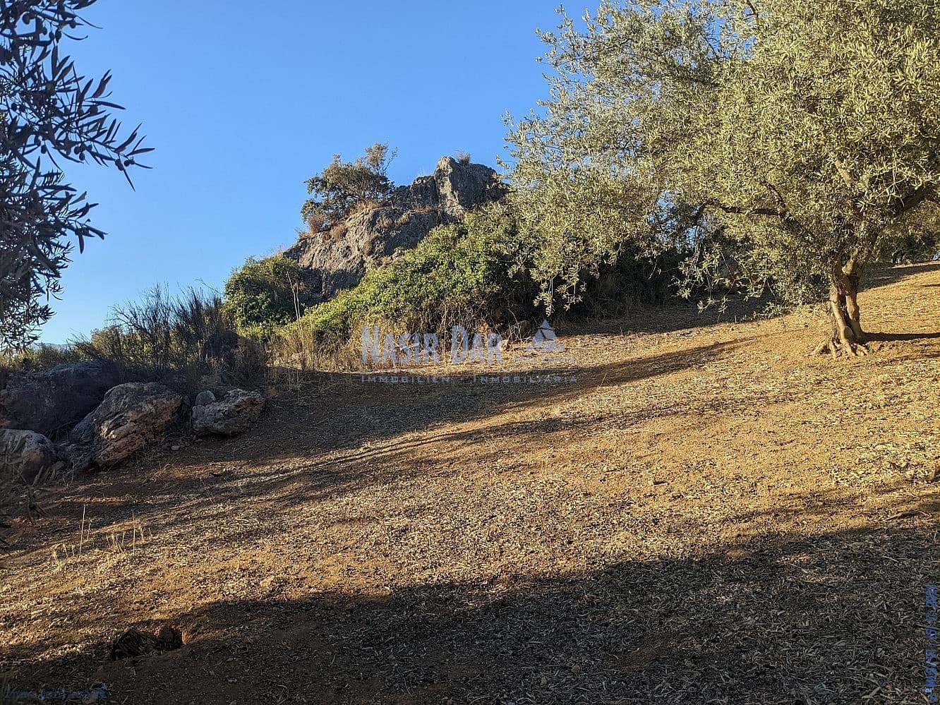 Grunde uden byggetilladelser til salg i Periana - € 172.000 (Ref: 9751079)