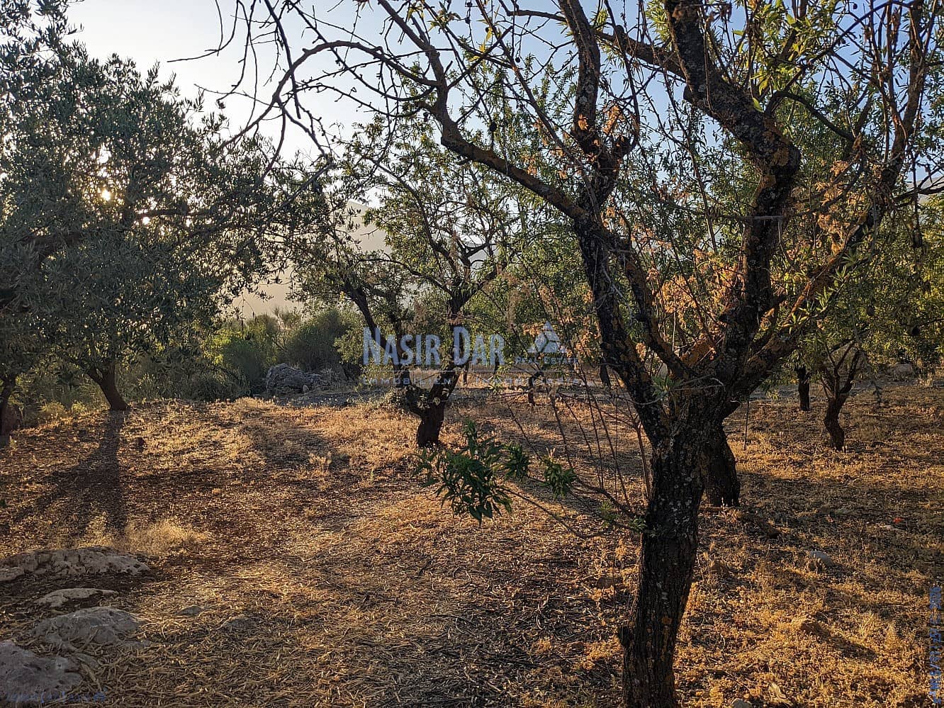 Grunde uden byggetilladelser til salg i Periana - € 172.000 (Ref: 9751079)