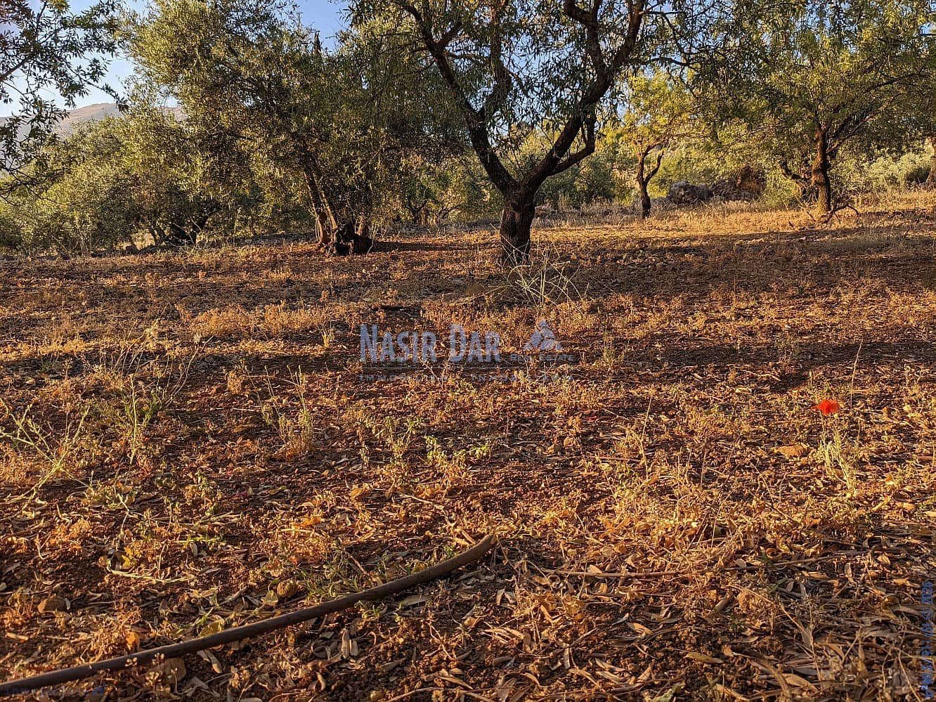 Grunde uden byggetilladelser til salg i Periana - € 172.000 (Ref: 9751079)