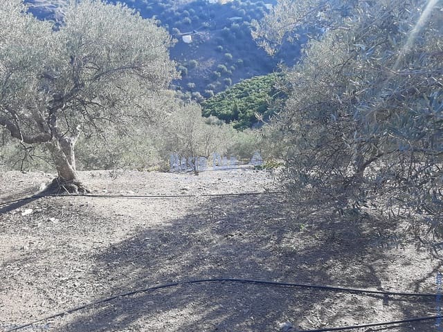 Maalaistalo myytävänä paikassa Torrox Pueblo, Torrox - 90 000 € (Ref: 9751080)