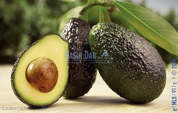 Rakentamaton maa myytävänä paikassa Trapiche, Vélez-Málaga - 225 000 € (Ref: 9751086)