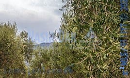 Terreno Non Edificato in vendita in Begijar - 80.000 € (Rif: 9752474)