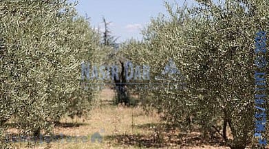 Terreno Non Edificato in vendita in Begijar - 80.000 € (Rif: 9752474)