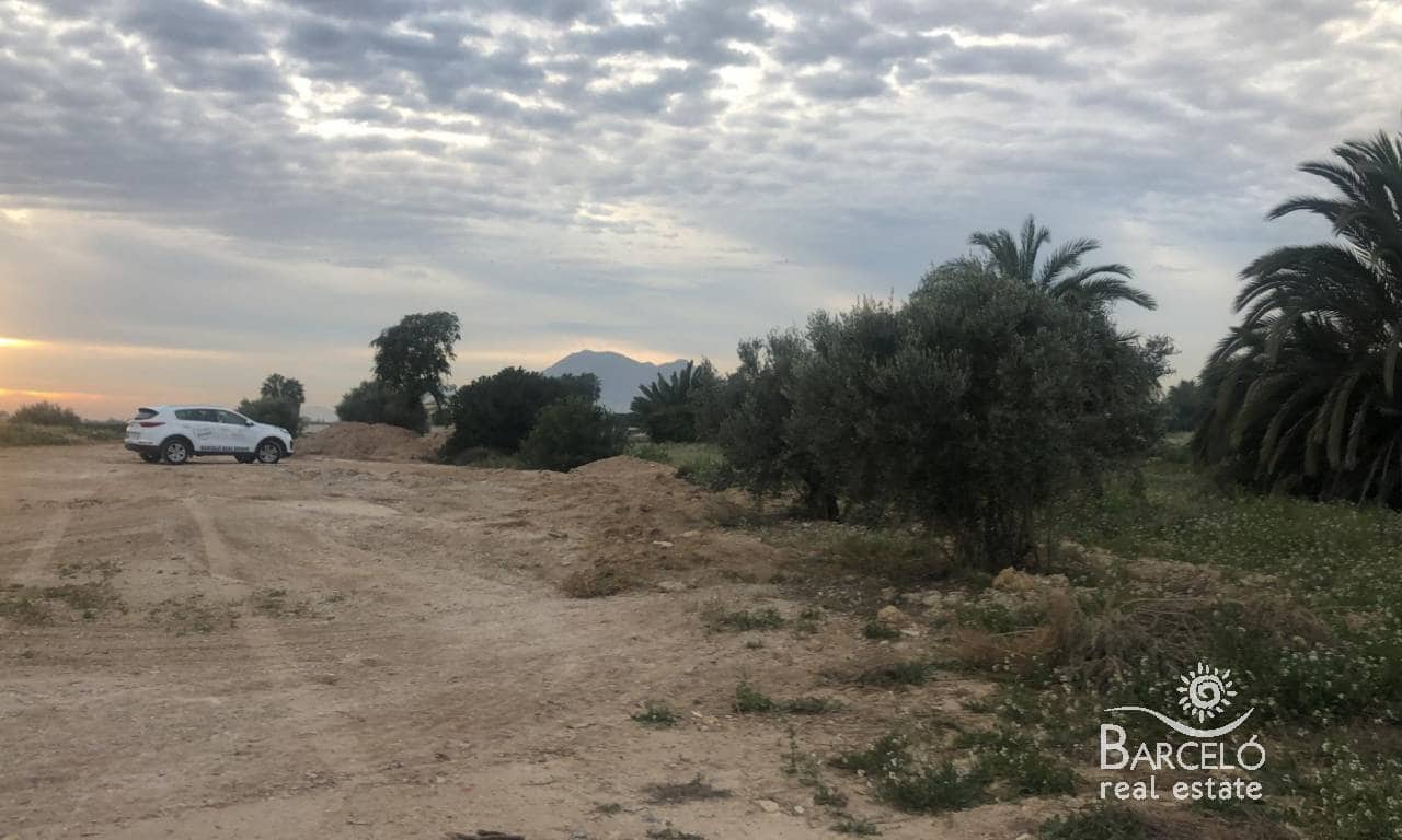 Bouwgrond te koop in Catral - € 120.000 (Ref: 5005220)