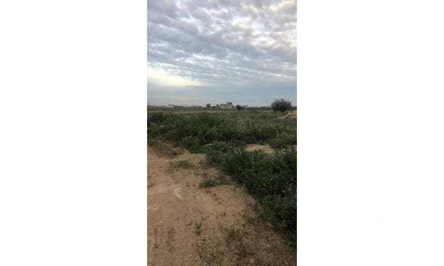 Building Plot for sale in Catral - € 120,000 (Ref: 5005220)