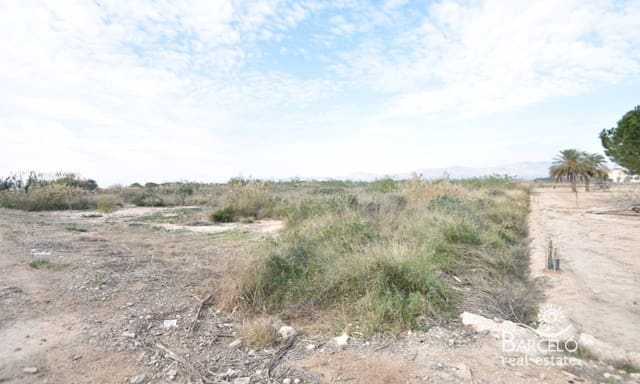 Building Plot for sale in Catral - € 100,000 (Ref: 6539559)