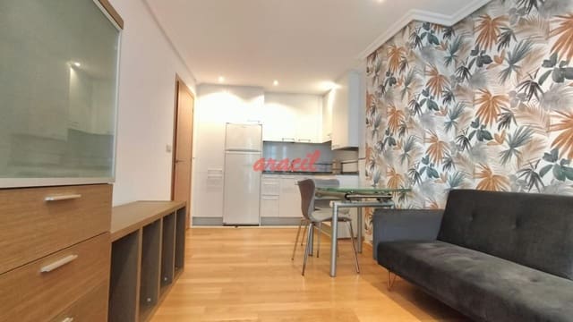 1 makuuhuone Yksiö vuokrattavana paikassa Ourense kaupunki - 510 € (Ref: 8365123)