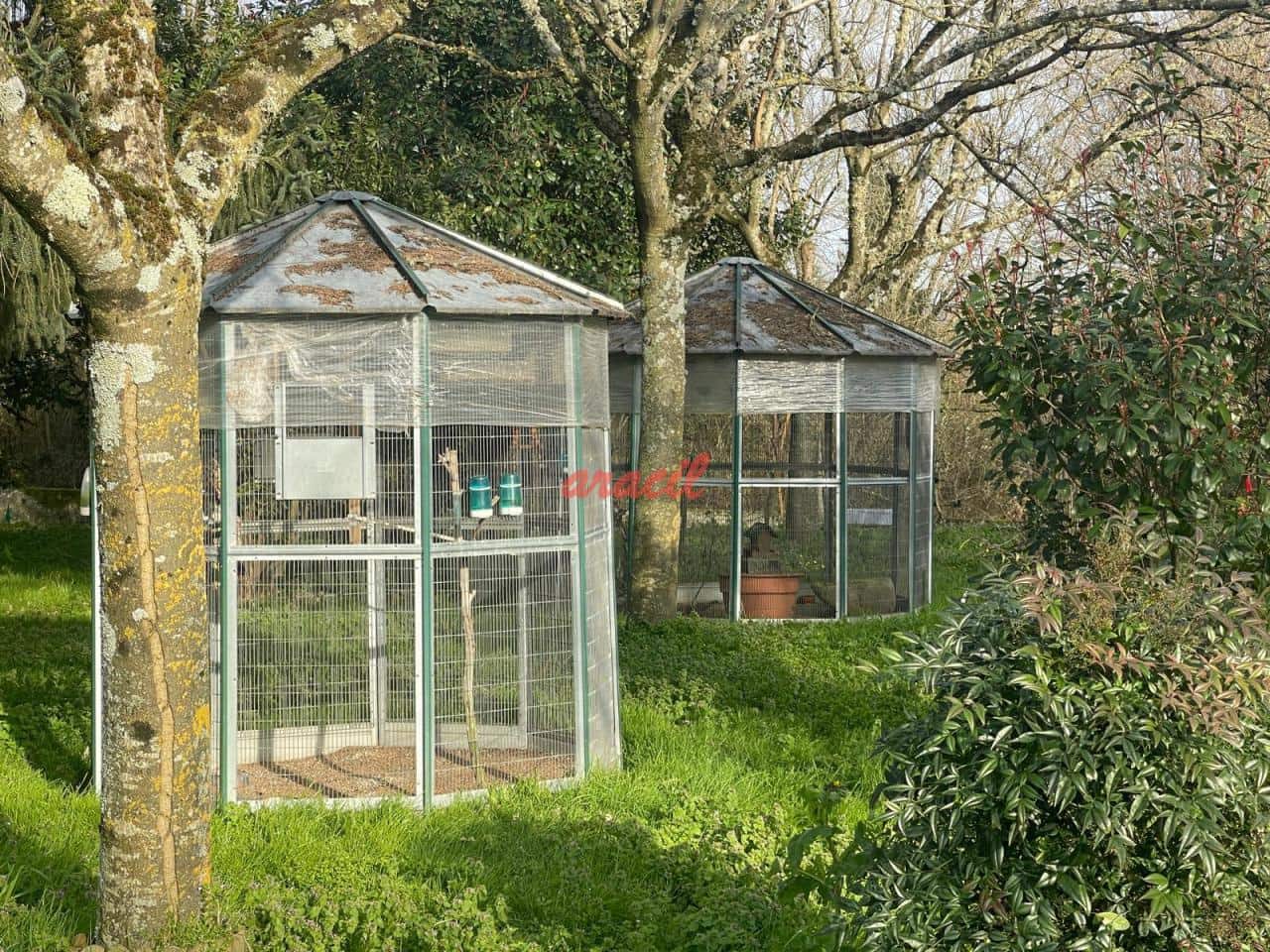 5 makuuhuone Huvila myytävänä paikassa Coles mukana uima-altaan 
autotalli - 400 000 € (Ref: 9321453)