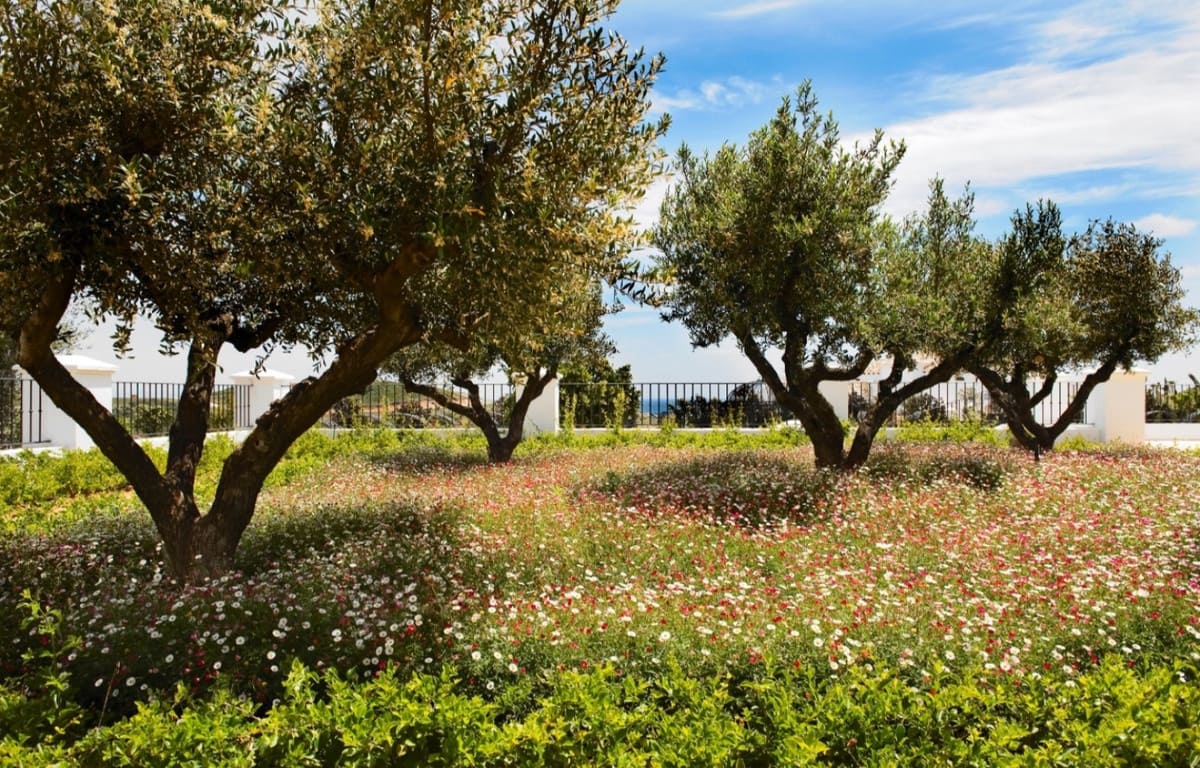 6 bedroom Villa for sale in Casares with pool - € 4,600,000 (Ref: 5382106)