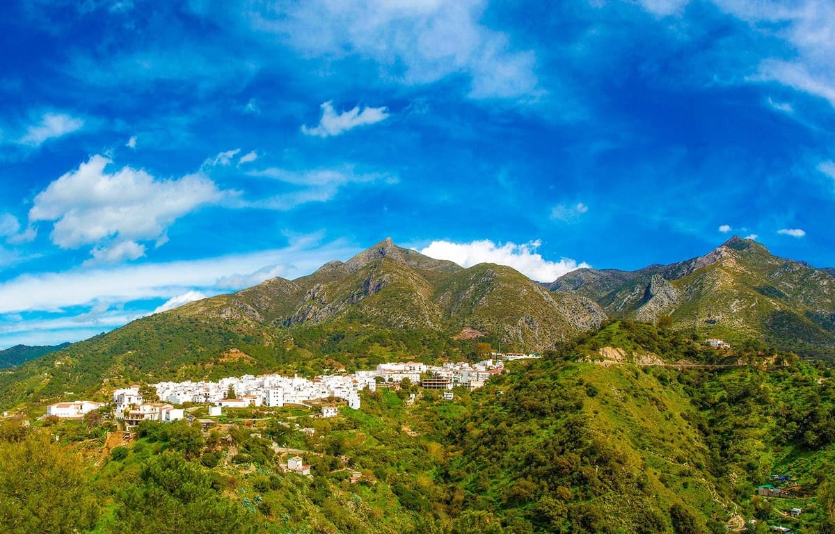 3 slaapkamer Huis te koop in Istan met zwembad garage - € 640.000 (Ref: 6944908)