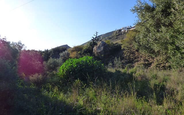 Byggegrund til salg i Benalmadena - € 549.000 (Ref: 8830202)