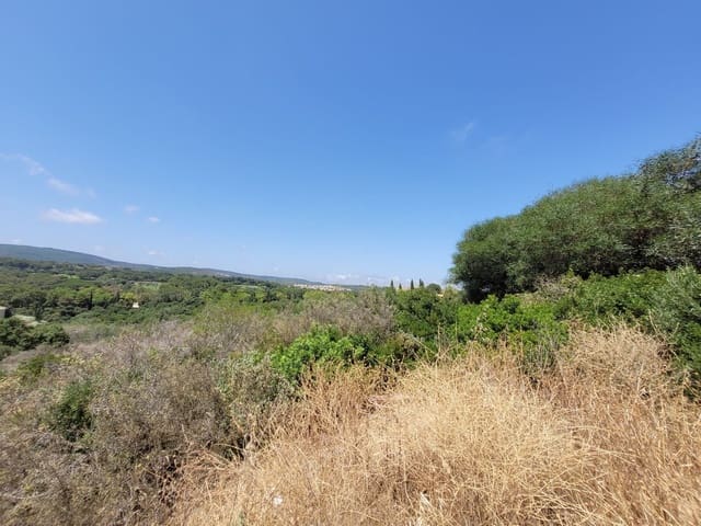Tontti myytävänä paikassa Sotogrande, San Roque - 1 500 000 € (Ref: 8039920)