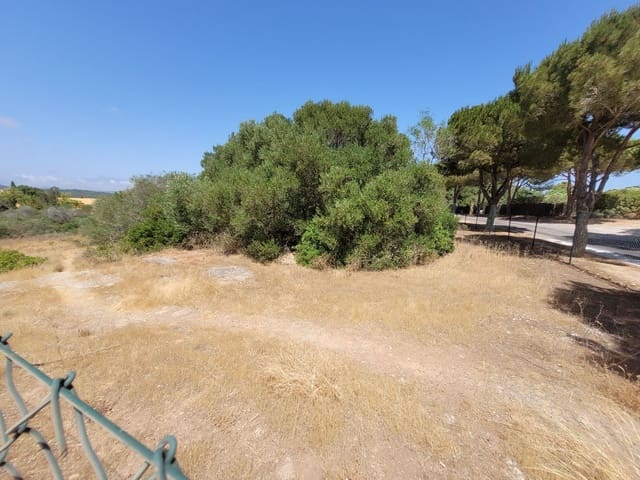 Tontti myytävänä paikassa Sotogrande, San Roque - 1 500 000 € (Ref: 8039920)