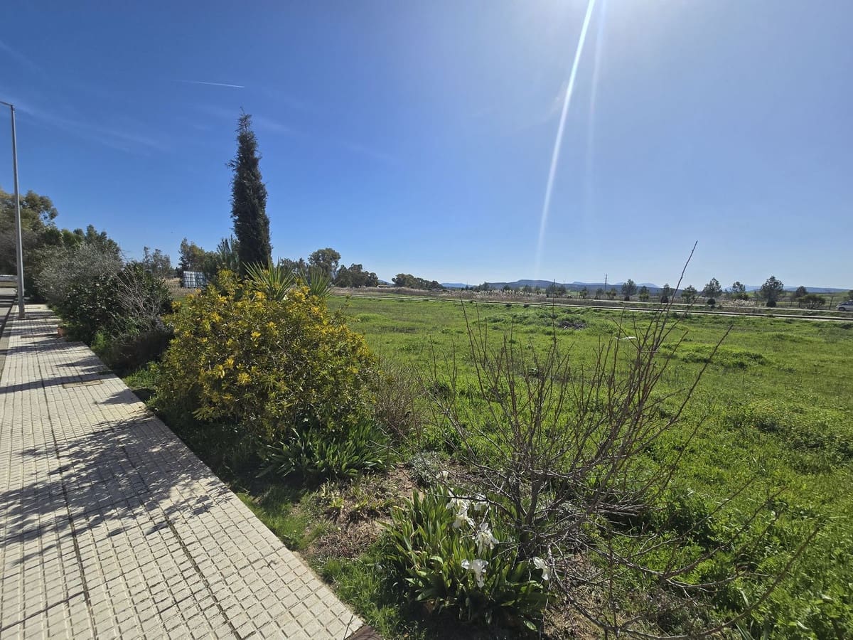 Tontti myytävänä paikassa Campillos - 1 400 000 € (Ref: 9649781)