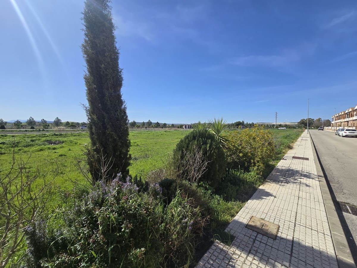 Tontti myytävänä paikassa Campillos - 1 400 000 € (Ref: 9649781)