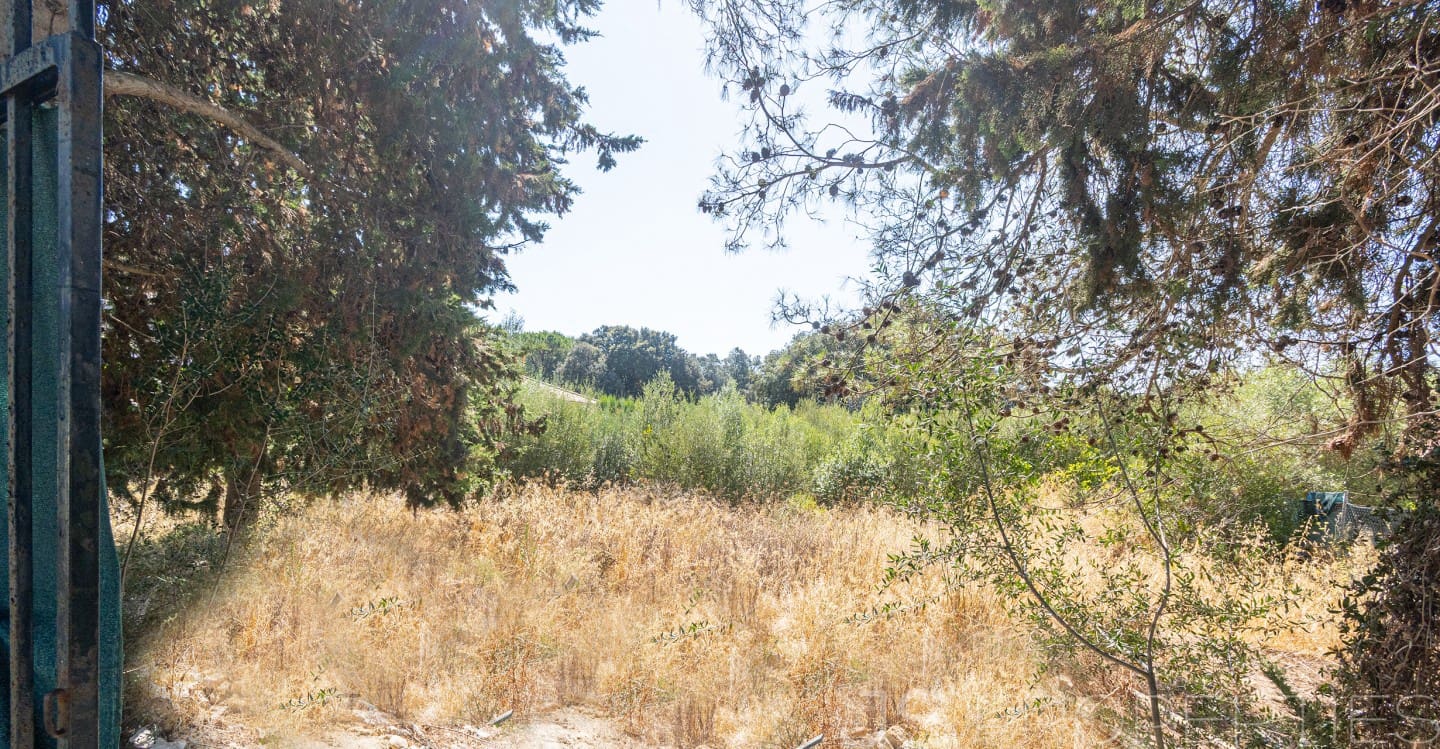 Terreno para Construção para venda em Sa Pobla - 319 500 € (Ref: 10000523)