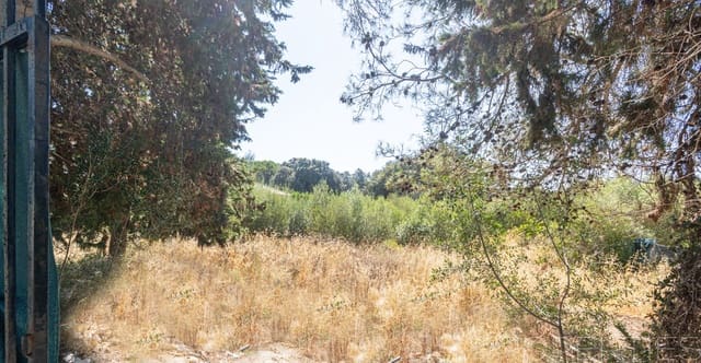 Terreno para Construção para venda em Sa Pobla - 319 500 € (Ref: 10000523)
